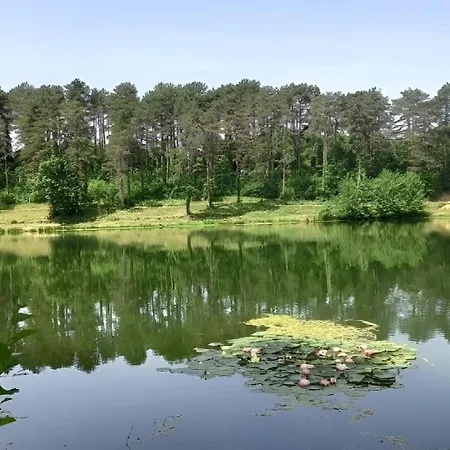 Apartmán Cocon Cosy Petit Colin - Lit 140 Et Canape Convertible Bz