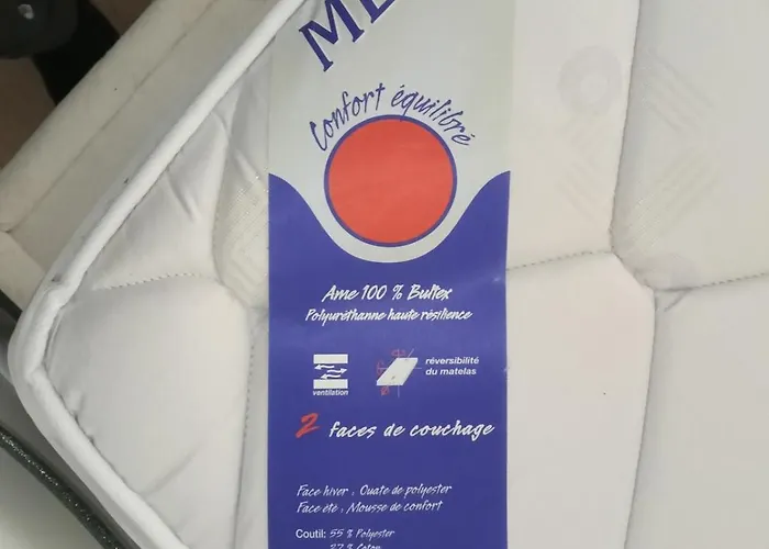 Apartmán Cocon Cosy Petit Colin - Lit 140 Et Canape Convertible Bz Graulhet