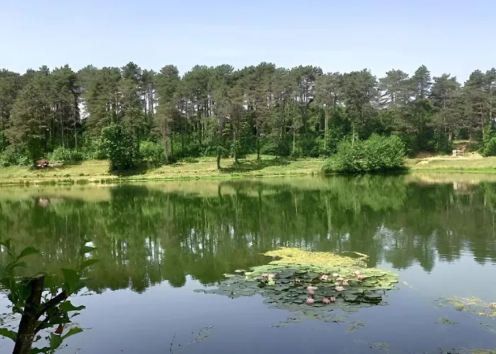 Apartmán Cocon Cosy Petit Colin - Lit 140 Et Canape Convertible Bz